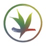 verdanttea.com
