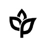ankorstore.com
