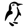 icebergwebdesign.com