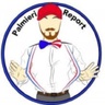 thepalmierireport.com
