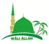 waliallah.in