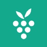 berrycast.com