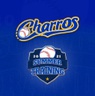 charrosjalisco.com