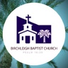 birchleighbc.co.za