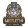 middletonmixology.com