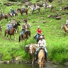 sprucedaleranch.com
