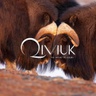 qiviuk.com