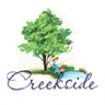 creeksidestjohnscounty.com