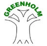 grnholm.bham.sch.uk
