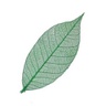 ishoni.co.uk