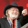 willienelson.com