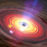 wissenschaft.de