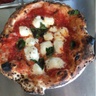 doughgirlsonthego.com
