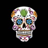 anejo.ca