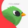 animalpolitico.com