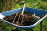 grasschopperinc.com
