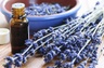 voyageursoapandcandle.com
