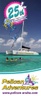 pelican-aruba.com