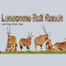 lonesomebullranch.com