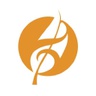 adagio.com