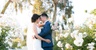 wedgewoodweddings.com