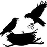 thecrowsnestescape.com