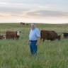 beefconsultant.com
