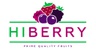 hiberry.mx